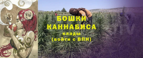 дживик Аркадак