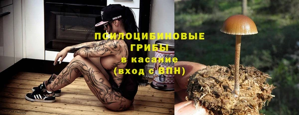 дживик Аркадак