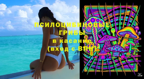 apvp Покачи