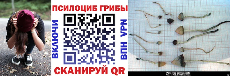 Галлюциногенные грибы мицелий  нарко площадка формула  Мытищи  дарнет шоп 