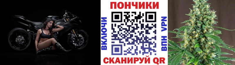 закладка  Мытищи  МАРИХУАНА White Widow 